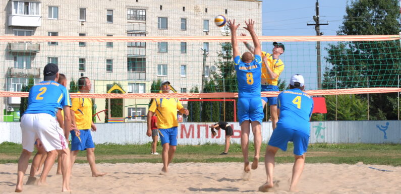 «До Дня Незалежності»: В Ямполі відбувся волейбольний турнір